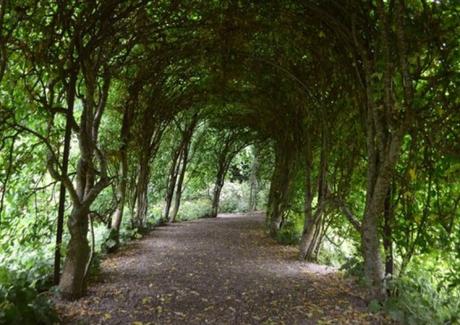 The Top 10 Largest Woodland Forests in the UK Glengarry Forest, Scotland