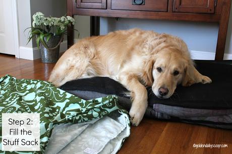 How to Upcycle Your Old Things Into A New Dog Bed golden retriever dog laying on molly mutt stuff sack