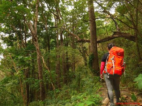 Mt. Napulak: A Climb of Redemption Mt. Napulak