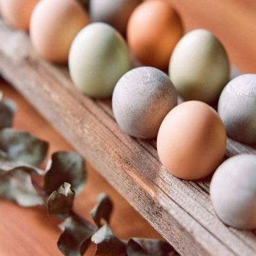 The Most Creative Easter Eggs Ever | Dreamery Events The Most Creative Easter Eggs Ever | Dreamery Events