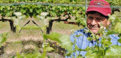 The Hedonistic Taster | № 15 | Ordaz Family Wines – Sonoma The Hedonistic Taster | № 15 | Ordaz Family Wines – Sonoma