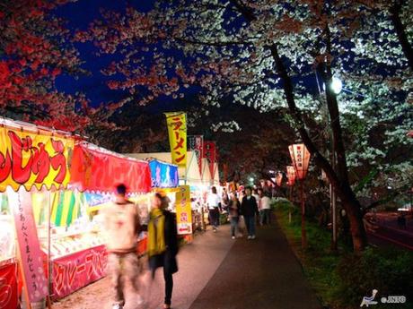 Top Tips for Cherry Blossom in Japan Top Tips for Cherry Blossom in Japan