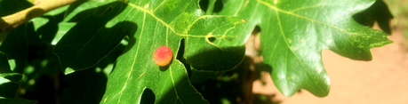 Why So Complicated? – Buddhism and Self Why So Complicated? – Buddhism and Self