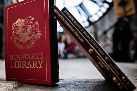 Harry Potter Themed Engagement Harry Potter Themed Engagement