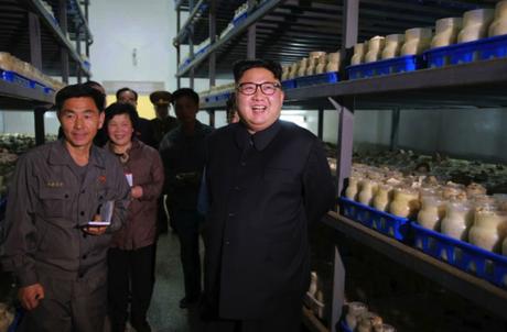 Kim Jong Un Visits Pyongyang Mushroom Farm