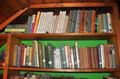 A few More Bookshelves to Go . . .
