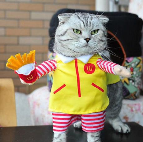 Top 10 Corporate Loving Brand Name Cat Costumes McDonald's Cat Costume