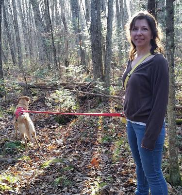 Hiking Gear... A Question To Readers Hiking Gear... A Question To Readers