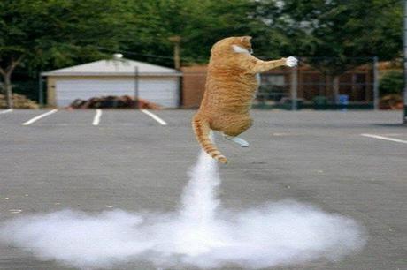Ten Very Smelly Cats That Have Just Broken Wind Ten Very Smelly Cats That Have Just Broken Wind