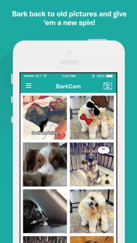 Five dog-specific apps to Help you Live Better