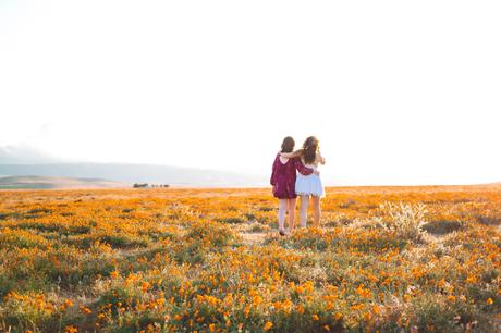 Antelope Valley Poppies poppy-24