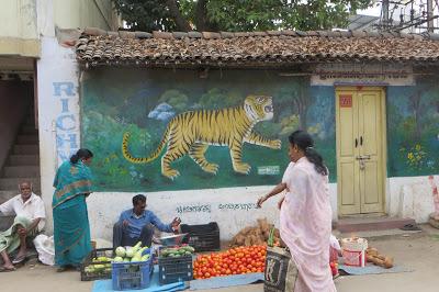 CYCLING THROUGH SOUTH INDIA, Part 1: Mysore, Guest Post by Gretchen Woelfle