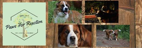 #Celebrating #PawsForReaction #Ontario #PetBlog 5th #Anniversary #Celebrating #PawsForReaction #Ontario #PetBlog 5th #Anniversary
