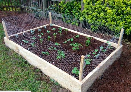 30+ Cheap Fence Ideas for Your Home, Garden, Perimeter, and Privacy 30+ Cheap Fence Ideas for Your Home, Garden, Perimeter, and Privacy