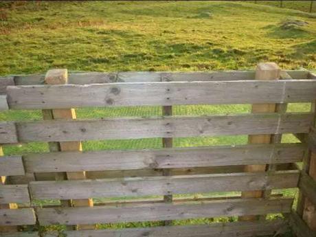 30+ Cheap Fence Ideas for Your Home, Garden, Perimeter, and Privacy 30+ Cheap Fence Ideas for Your Home, Garden, Perimeter, and Privacy
