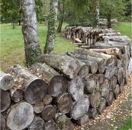 30+ Cheap Fence Ideas for Your Home, Garden, Perimeter, and Privacy 30+ Cheap Fence Ideas for Your Home, Garden, Perimeter, and Privacy