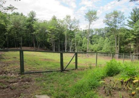 30+ Cheap Fence Ideas for Your Home, Garden, Perimeter, and Privacy 30+ Cheap Fence Ideas for Your Home, Garden, Perimeter, and Privacy