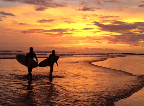 Surf’s Up! How to Recreate Your Own Endless Summer Surfing Vacation2 min read