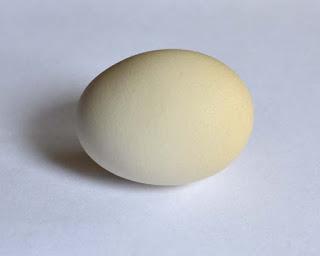 An Egg is Beautiful