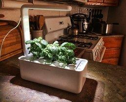 Taking a look at the Smart Garden by Click & Grow Picture