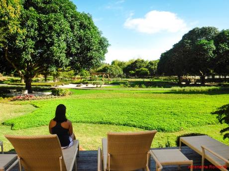 Bluewater Panglao Beach Resort: A Luxurious Escape in Bohol Bluewater Panglao Beach Resort