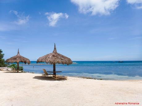 Bluewater Panglao Beach Resort: A Luxurious Escape in Bohol Bluewater Panglao Beach Resort