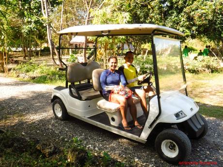 Bluewater Panglao Beach Resort: A Luxurious Escape in Bohol Bluewater Panglao Beach Resort