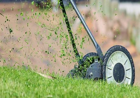5 Tips for a More Perfect Lawn