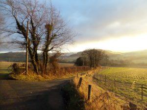 Indefatigable hope… Indefatigable hope…