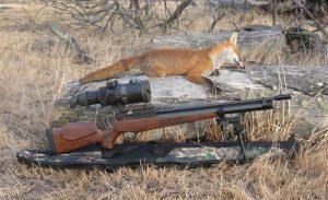 Coyote Hunting Gun