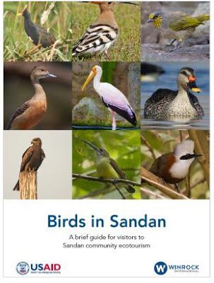 The Birds in Sandan Is A Beautiful Southeast Asia Birdwatching Guidebook
