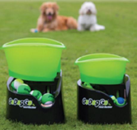 Top 10 Gadgets to Keep Your Dogs Fit, Safe and Happy