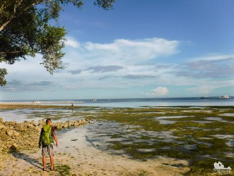 21 Exciting Things to Do in Bluewater Panglao Beach Resort Bluewater Panglao Beach Resort Low Tide