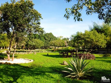 21 Exciting Things to Do in Bluewater Panglao Beach Resort Bluewater Panglao Beach Resort Garden
