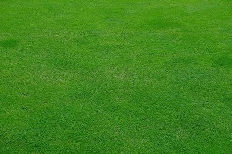 The Concise Guide to Flattening and Leveling Your Garden Lawn