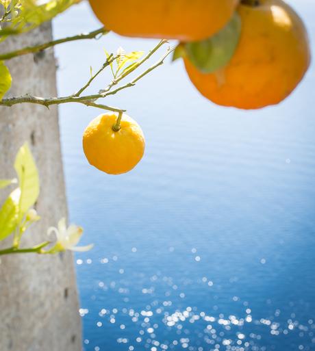 ACTIVE ESCAPE: MONASTERO SANTA ROSA Fitness On Toast - Monastero Santa Rosa - Active Escape Travel Review-60