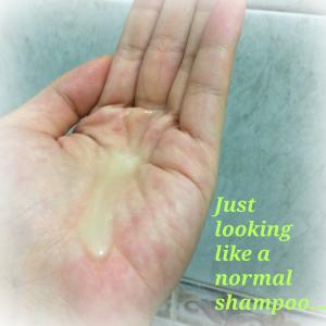 Q&A: All about Organic Shampoo