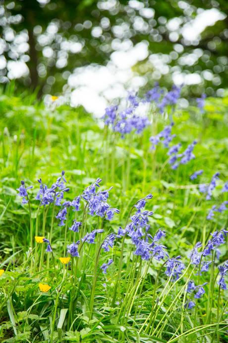 CITY ESCAPE TO CARDIFF! Fitness On Toast Faya Blog Health Training Workout Active Travel Escape City Break Wales Cardiff Millennium Principality Stadium Football UEFA Final June Rugby-24