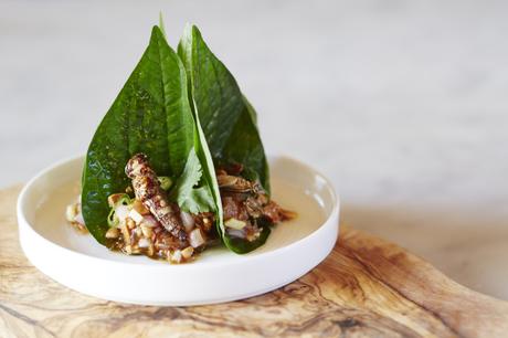 Eat Grubs with edible insect restaurant pop-up – 28th May