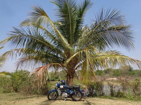 142) Mahadevapura – Welcoming the summer: (11/3/2017) 142) Mahadevapura – Welcoming the summer: (11/3/2017)