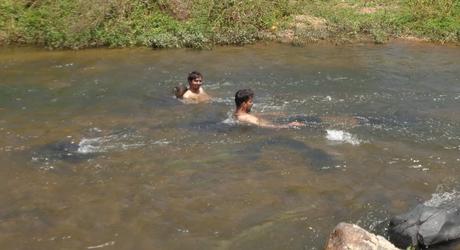 142) Mahadevapura – Welcoming the summer: (11/3/2017) 142) Mahadevapura – Welcoming the summer: (11/3/2017)