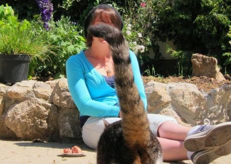 Top 10 Cats Ruining Perfectly Good Photos Top 10 Cats Ruining Perfectly Good Photos