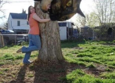 Top 10 Cats Ruining Perfectly Good Photos Cat Ruining Photo