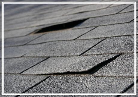 3 Signs that You Should Replace Your Flat Roof