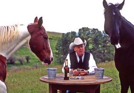 Ten Cute Animals Playing Poker With Their Owners Money Horses Playing Poker