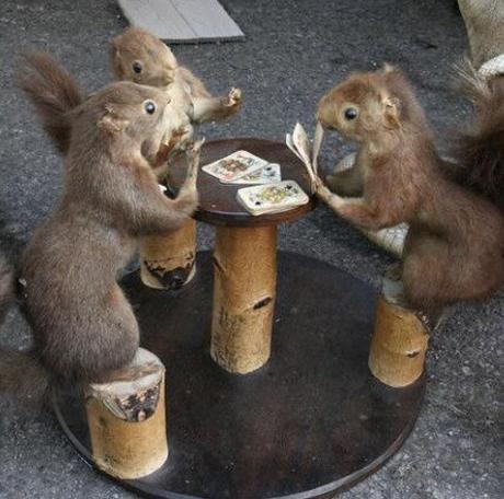 Ten Cute Animals Playing Poker With Their Owners Money Squirrels Playing Poker