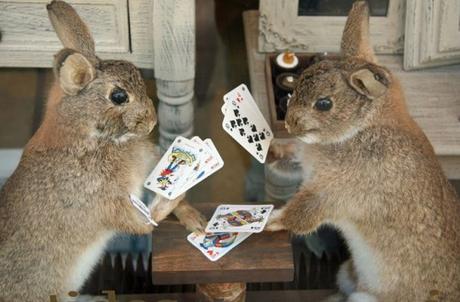 Ten Cute Animals Playing Poker With Their Owners Money Rabbits Playing Poker