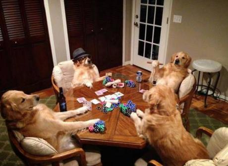 Ten Cute Animals Playing Poker With Their Owners Money Dogs Playing Poker
