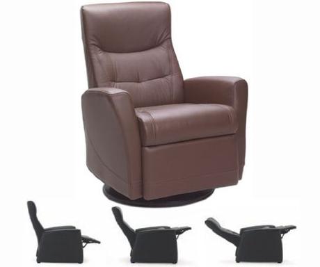 Ergonomic Lounge Chair