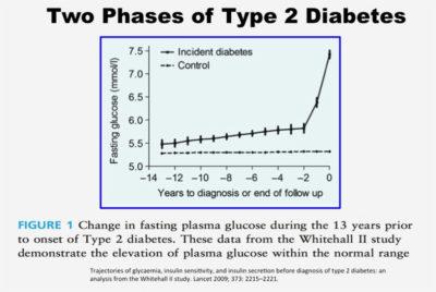 Fatty Pancreas and the Development of Type 2 Diabetes